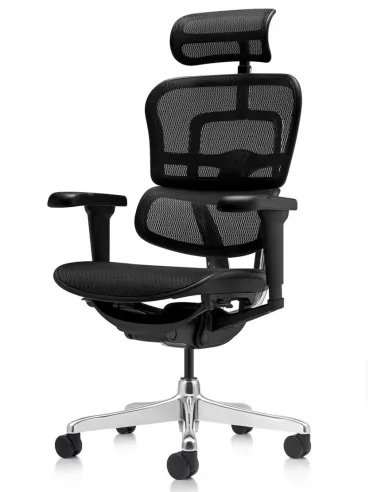 Кресло ERGOHUMAN ULTRA (EHU-AB-HAM-4D, сетка T-168-B1 BLACK), эргономичное - купить Киев, Днепр, Одесса, Львов, Харьков