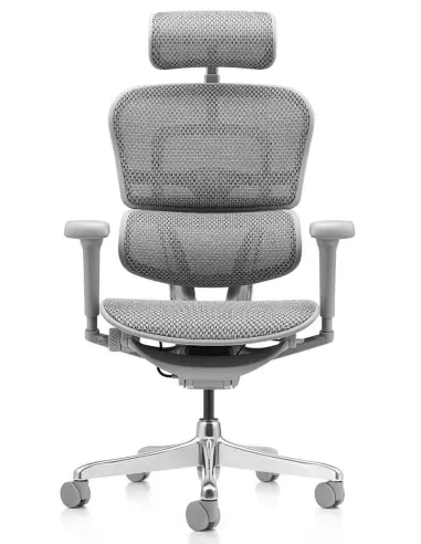 Кресло ERGOHUMAN ULTRA (EHU-AG-HAM-4D, сетка T-168-B2 NATURAL), эргономичное - купить Киев, Днепр, Одесса, Львов, Харьков