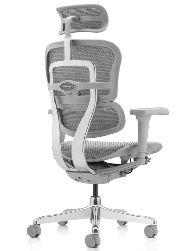 Кресло ERGOHUMAN ULTRA (EHU-AG-HAM-4D, сетка T-168-B2 NATURAL), эргономичное - купить Киев, Днепр, Одесса, Львов, Харьков