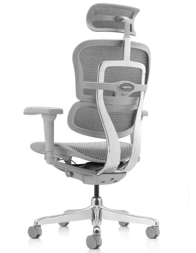 Кресло ERGOHUMAN ULTRA (EHU-AG-HAM-4D, сетка T-168-B2 NATURAL), эргономичное - купить Киев, Днепр, Одесса, Львов, Харьков