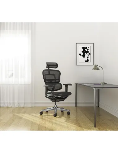 Кресло ERGOHUMAN ULTRA (EHU-AG-HAM-4D, сетка T-168-B2 NATURAL), эргономичное - купить Киев, Днепр, Одесса, Львов, Харьков