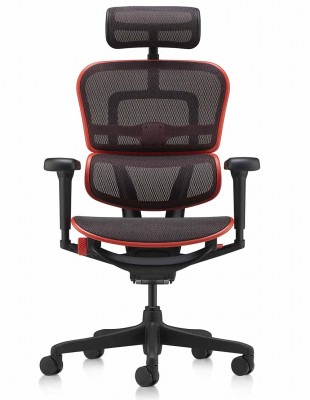 Кресло ERGOHUMAN ULTRA... 2