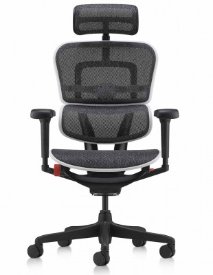 Кресло ERGOHUMAN ULTRA... 2