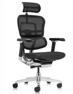 Кресло ERGOHUMAN LUXURY 2 Black T-168-B1, чёрная рама — эргономичное кресло | Kreslalux