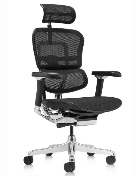Кресло ERGOHUMAN LUXURY 2 Black T-168-B1, чёрная рама — эргономичное кресло | Kreslalux