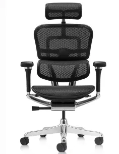 Кресло ERGOHUMAN LUXURY 2 Black T-168-B1, чёрная рама — эргономичное кресло | Kreslalux 2