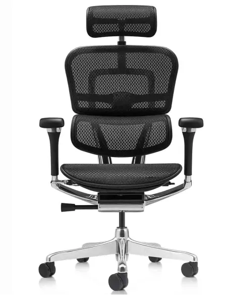 Кресло ERGOHUMAN LUXURY 2 Black T-168-B1, чёрная рама — эргономичное кресло | Kreslalux