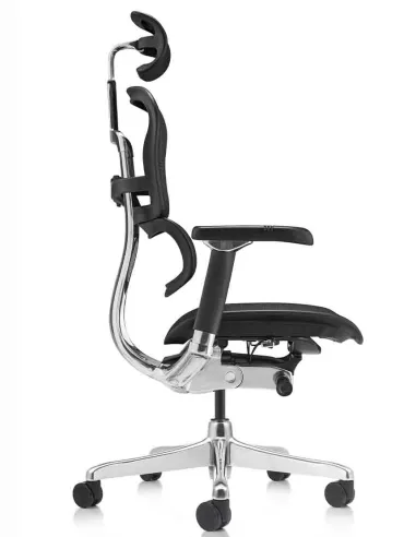 Крісло ERGOHUMAN LUXURY 2 Black T-168-B1, чорна рама — ергономічне крісло | Kreslalux