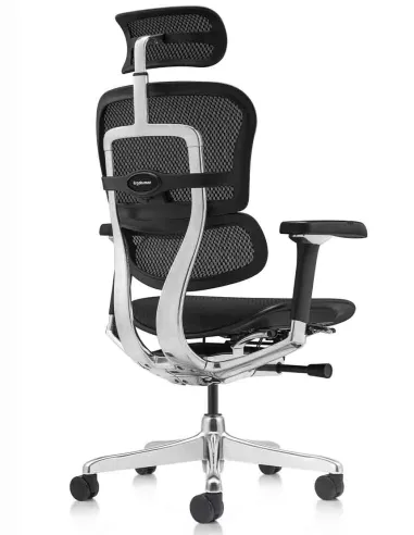 Крісло ERGOHUMAN LUXURY 2 Black T-168-B1, чорна рама — ергономічне крісло | Kreslalux