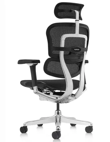 Крісло ERGOHUMAN LUXURY 2 (EHL2-AB-HAM-5D-L, сітка Т-168-B1 Black), ергономічне - ціна Київ, Дніпро, Харків, Львів, Одеса