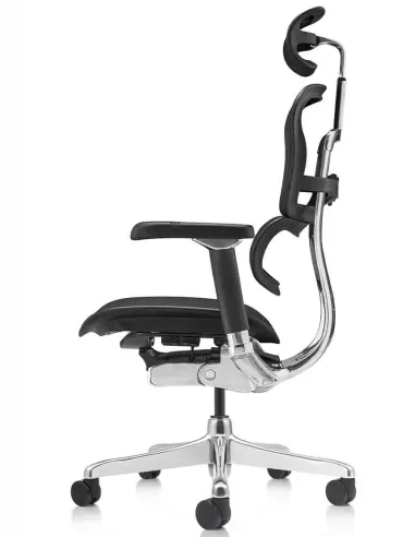 Кресло ERGOHUMAN LUXURY 2 Black T-168-B1, чёрная рама — эргономичное кресло | Kreslalux
