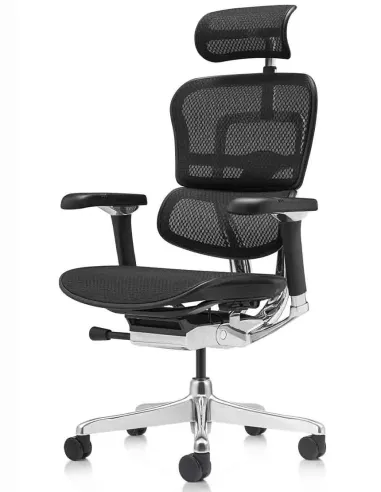 Крісло ERGOHUMAN LUXURY 2 Black T-168-B1, чорна рама — ергономічне крісло | Kreslalux