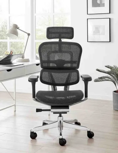Кресло ERGOHUMAN LUXURY 2 Black T-168-B1, чёрная рама — эргономичное кресло | Kreslalux