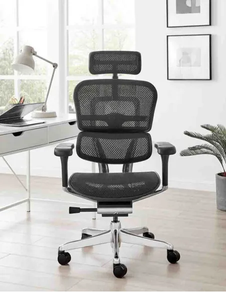 Крісло ERGOHUMAN LUXURY 2 Black T-168-B1, чорна рама — ергономічне крісло | Kreslalux