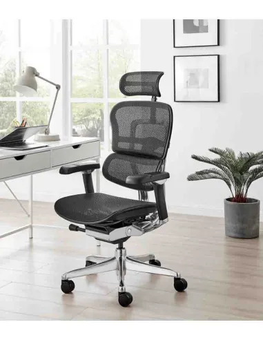 Кресло ERGOHUMAN LUXURY 2 Black T-168-B1, чёрная рама — эргономичное кресло | Kreslalux