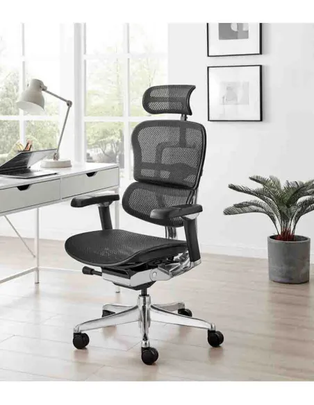 Крісло ERGOHUMAN LUXURY 2 Black T-168-B1, чорна рама — ергономічне крісло | Kreslalux