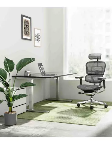 Кресло ERGOHUMAN LUXURY 2 Black T-168-B1, чёрная рама — эргономичное кресло | Kreslalux