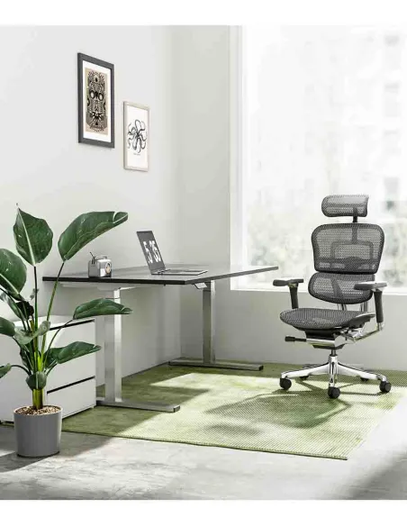 Кресло ERGOHUMAN LUXURY 2 Black T-168-B1, чёрная рама — эргономичное кресло | Kreslalux