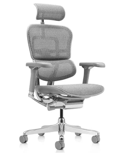 Кресло ERGOHUMAN LUXURY 2 Natural T-168-B2, серая рама — эргономичное кресло | Kreslalux