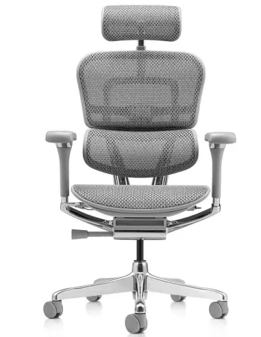 Кресло ERGOHUMAN LUXURY 2 (EHL2-AG-HAM-5D-L, сетка Т-168-B2 Natural), эргономичное - купить Киев, Днепр, Одесса, Львов, Харьков