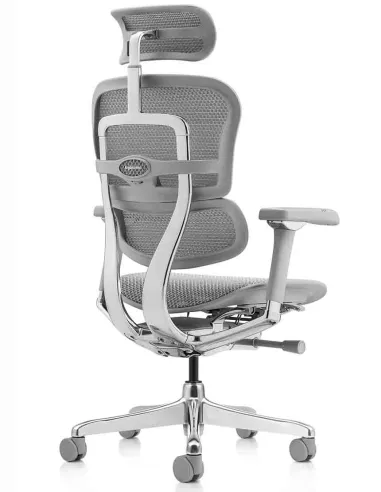 Кресло ERGOHUMAN LUXURY 2 (EHL2-AG-HAM-5D-L, сетка Т-168-B2 Natural), эргономичное - купить Киев, Днепр, Одесса, Львов, Харьков