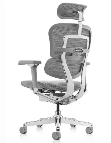 Кресло ERGOHUMAN LUXURY 2 (EHL2-AG-HAM-5D-L, сетка Т-168-B2 Natural), эргономичное - купить Киев, Днепр, Одесса, Львов, Харьков