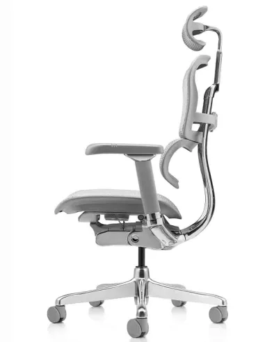 Кресло ERGOHUMAN LUXURY 2 (EHL2-AG-HAM-5D-L, сетка Т-168-B2 Natural), эргономичное - купить Киев, Днепр, Одесса, Львов, Харьков