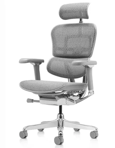 Кресло ERGOHUMAN LUXURY 2 (EHL2-AG-HAM-5D-L, сетка Т-168-B2 Natural), эргономичное - купить Киев, Днепр, Одесса, Львов, Харьков