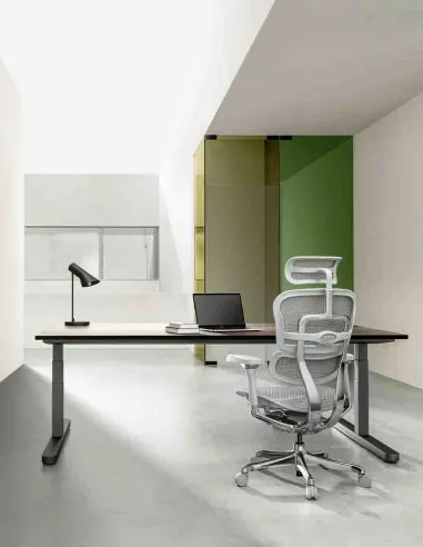 Крісло ERGOHUMAN LUXURY 2 (EHL2-AG-HAM-5D-L, сітка Т-168-B2 Natural), ергономічне - купити Київ, Дніпро, Одеса, Львів, Харків