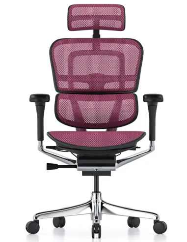 Крісло ERGOHUMAN ELITE 2 (EHE2-AB-HAM-5D-L, сітка T-168-B4 Cobalt), ергономічне - купити Київ, Дніпро, Одеса, Львів, Харків