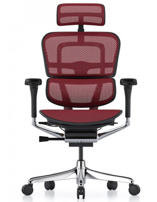 Кресло ERGOHUMAN ELITE 2...