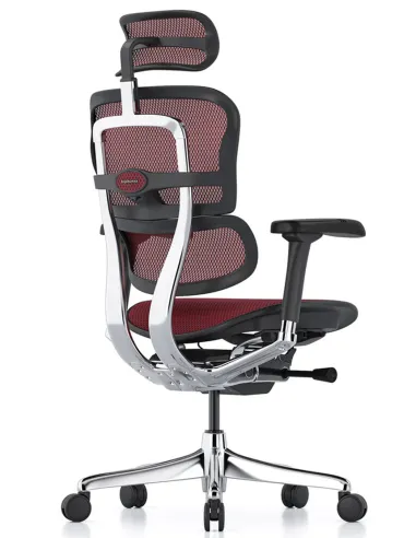 Крісло ERGOHUMAN ELITE 2 (EHE2-AB-HAM-5D-L, сітка T-168-B3 Scarlet), ергономічне - купити Київ, Дніпро, Одеса, Львів, Харків