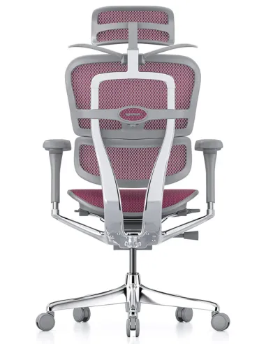Кресло ERGOHUMAN ELITE 2 (EHE2-AG-HAM-5D-L, сетка T-168-B5 Pink), эргономичное -  цена Киев, Харьков, Одесса, Львов, Днепр