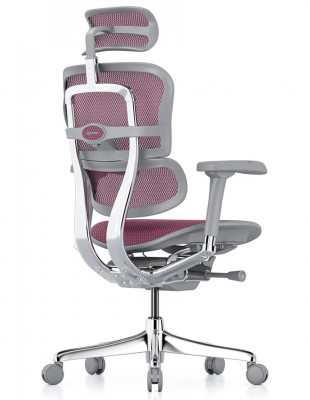 Крісло ERGOHUMAN ELITE 2... 2