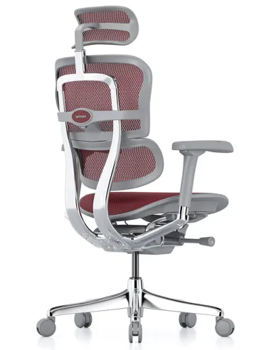 Кресло ERGOHUMAN ELITE 2 (EHE2-AG-HAM-5D-L, сетка T-168-B3 Scarlet), эргономичное - цена Киев, Одесса, Львов, Днепр, Харьков