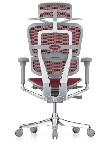 Кресло ERGOHUMAN ELITE 2 (EHE2-AG-HAM-5D-L, сетка T-168-B3 Scarlet), эргономичное - цена Киев, Одесса, Львов, Днепр, Харьков
