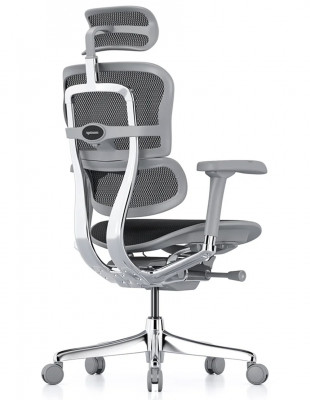 Кресло ERGOHUMAN ELITE 2... 2