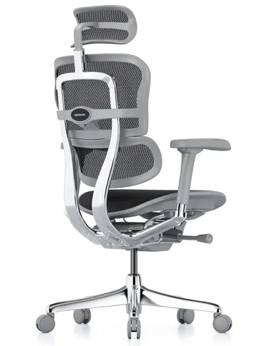 Кресло ERGOHUMAN ELITE 2 (EHE2-AG-HAM-5D-L, сетка T-168-B1 Black), эргономичное - цена Украина, Киев, Днепр, Одесса, Харьков