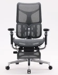 Кресло SIHOO DORO-S300 PRO BLACK эргономичное - купить Киев, Днепр, Одесса, Львов 2