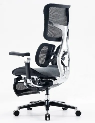 Кресло SIHOO DORO-S300 BLACK эргономичное - купить Киев, Днепр, Одесса, Львов