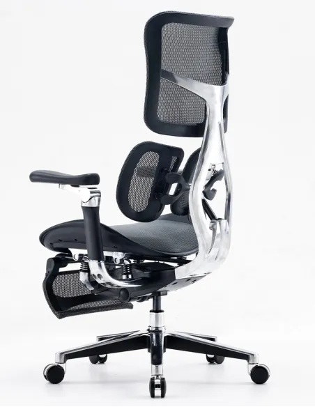 Кресло SIHOO DORO-S300 PRO BLACK эргономичное - купить Киев, Днепр, Одесса, Львов