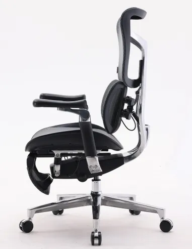 Крісло SIHOO DORO-S300 PRO BLACK ергономічне - купити Київ, Дніпро, Одеса, Львів, Харків