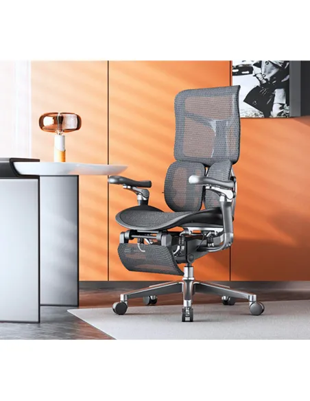 Кресло SIHOO DORO-S300 PRO BLACK эргономичное - купить Киев, Днепр, Одесса, Львов