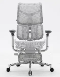 Крісло SIHOO DORO-S300 PRO WHITE ергономічне - купити Київ, Дніпро, Одеса, Львів, Харків 2