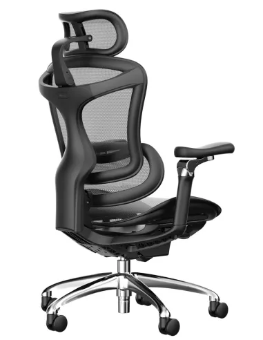 Кресло SIHOO DORO-C300 BLACK эргономичное - купить Киев, Днепр, Одесса, Львов, Харьков