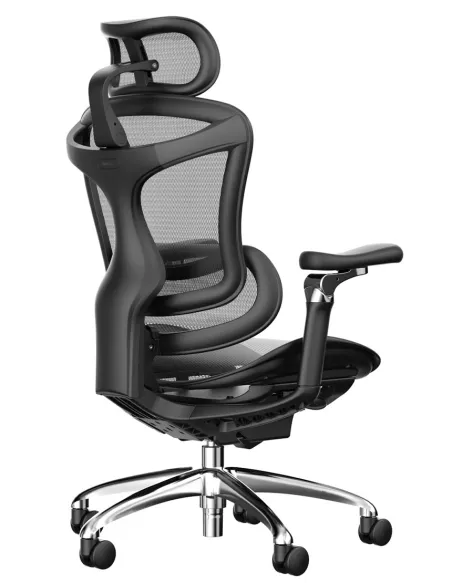 Крісло SIHOO DORO-C300 PRO BLACK ергономічне - купити Київ, Дніпро, Одеса, Львів, Харків