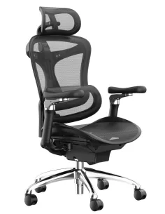 Крісло SIHOO DORO-C300 PRO BLACK ергономічне - купити Київ, Дніпро, Одеса, Львів, Харків