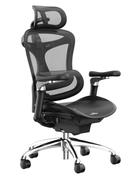 Кресло SIHOO DORO-C300 PRO BLACK эргономичное - купить Киев, Днепр, Одесса, Львов, Харьков