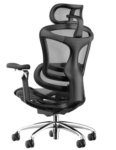 Кресло SIHOO DORO-C300 PRO BLACK эргономичное - купить Киев, Днепр, Одесса, Львов, Харьков