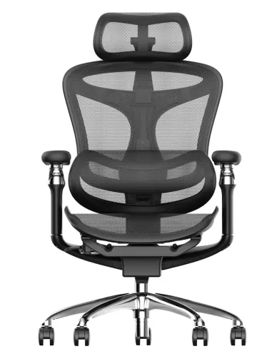 Кресло SIHOO DORO-C300 BLACK эргономичное - купить Киев, Днепр, Одесса, Львов, Харьков